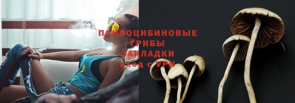 круглые Алексеевка