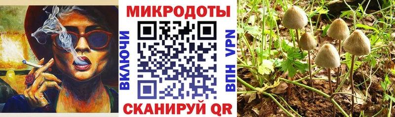 Галлюциногенные грибы Cubensis  Невьянск 